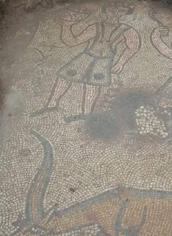 Kaçak kazıda Roma dönemine ait mozaik bulundu - Resim : 1