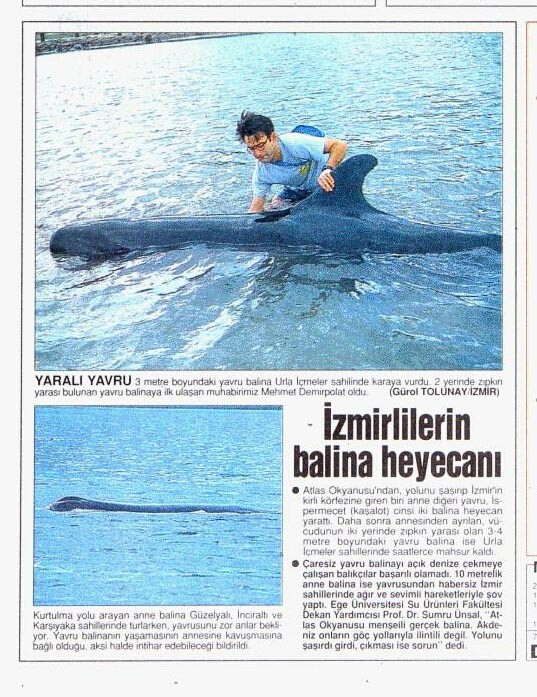 İzmir'de balina heyecanı - Resim : 1