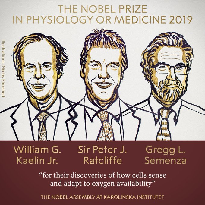 2019 Nobel Fizyoloji veya Tıp Ödülü'nün sahipleri belli oldu - Resim : 1