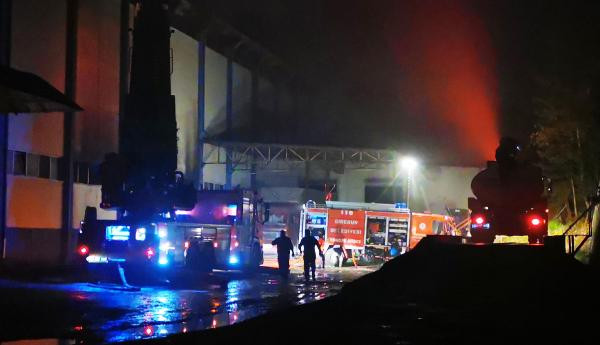 Giresun'da fındık fabrikasında yangın - Resim : 1