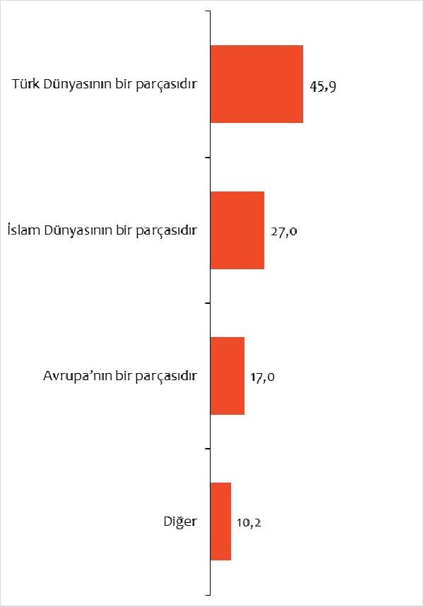 ABD’liler Türkiye’yi böyle görüyor: Mecburen iş birliği yapılması gereken ülke - Resim : 3