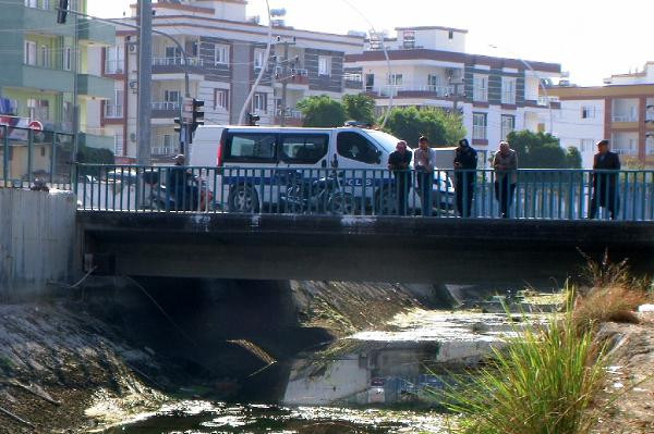 Tarsus'ta panik! Yüzlerce balık telef oldu - Resim : 1