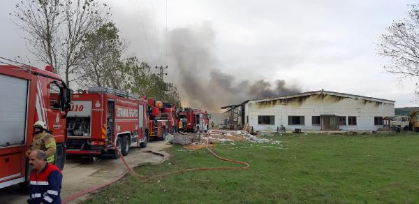 Çatalca'da fabrika yangını - Resim : 1