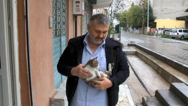 Vicdansız sürücü yavru kediyi ezip kaçtı - Resim : 1