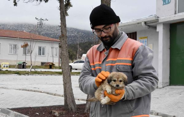 Kerpiç evin enkazından kurtarılan yavru köpek 'Mucize' korumaya alındı - Resim : 1