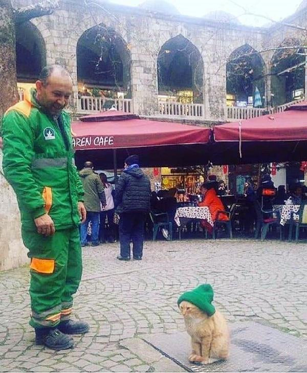 Beresini, üşümesin diye sokak kedisine takan temizlik işçisi, fenomen oldu - Resim : 1