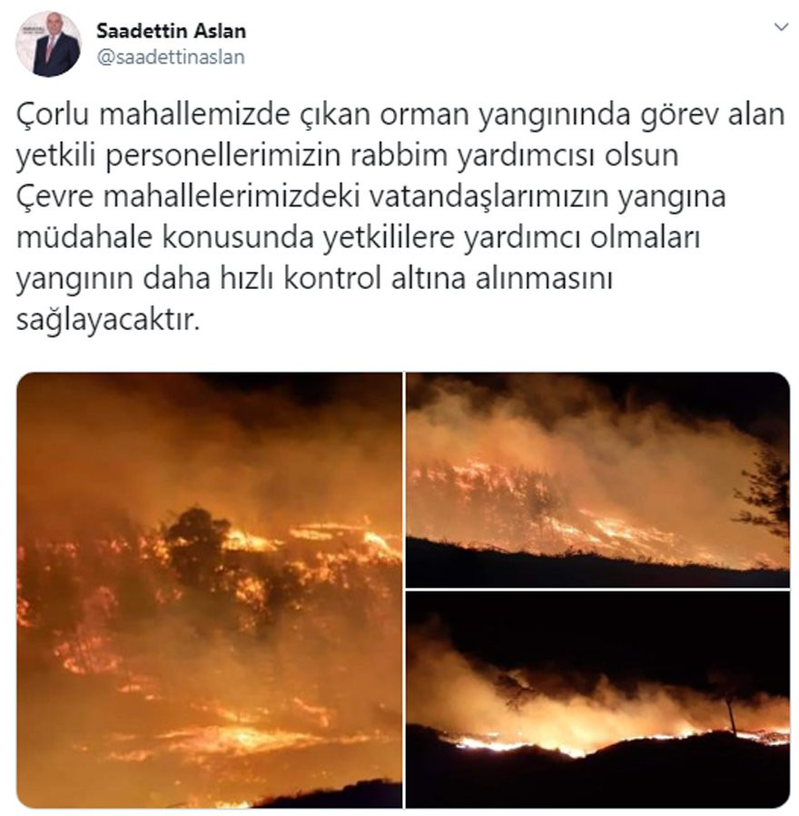 Adana'da iki farklı noktada orman yangını! - Resim : 1
