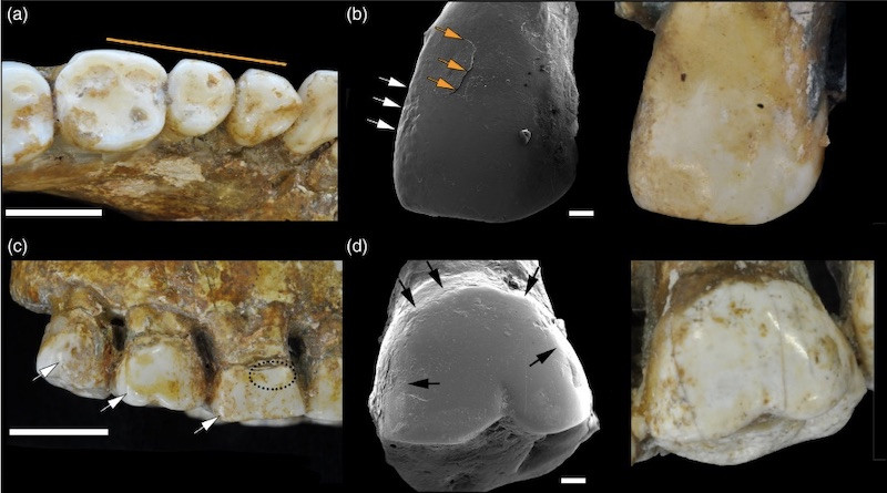 Afrika’da 12.000 yıllık dudak piercing’i kanıtı bulundu - Resim : 2
