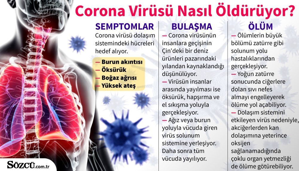 CHP Milletvekili Doktor Mustafa Adıgüzel'den koronavirüs uyarısı - Resim : 2