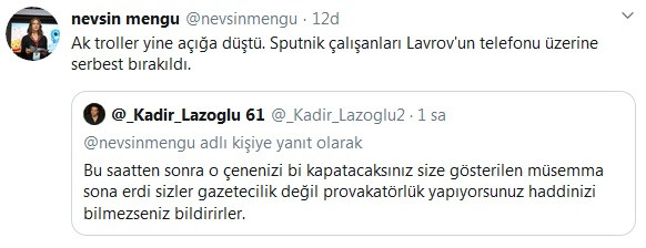 'Sputnik çalışanları Lavrov'un telefonu üzerine serbest bırakıldı' - Resim : 2