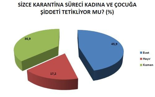 Pandemi sürecinde kadına şiddet yüzde 27,8 arttı - Resim : 3