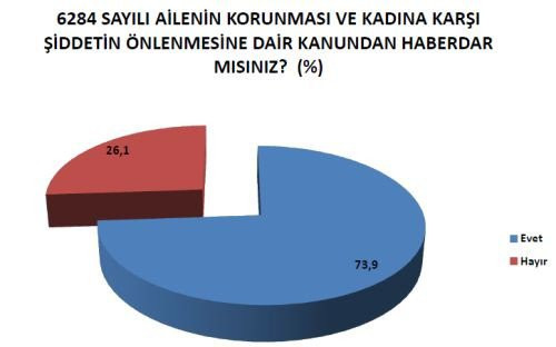 Pandemi sürecinde kadına şiddet yüzde 27,8 arttı - Resim : 4