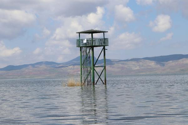 Erçek Gölü'nde su seviyesi yükseldi, kuş gözlem kuleleri su altında kaldı - Resim : 1