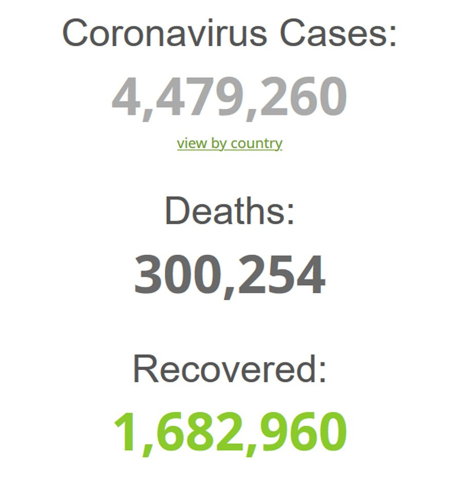 Dünya genelinde koronavirüs nedeniyle hayatını kaybedenlerin sayısı 300 bini aştı - Resim : 1