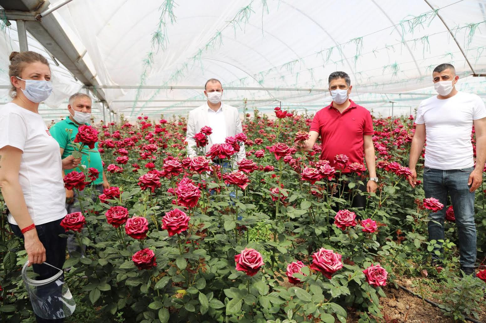 CHP'li Arslan: Çiçek serada kaldı, üretici perişan - Resim : 1