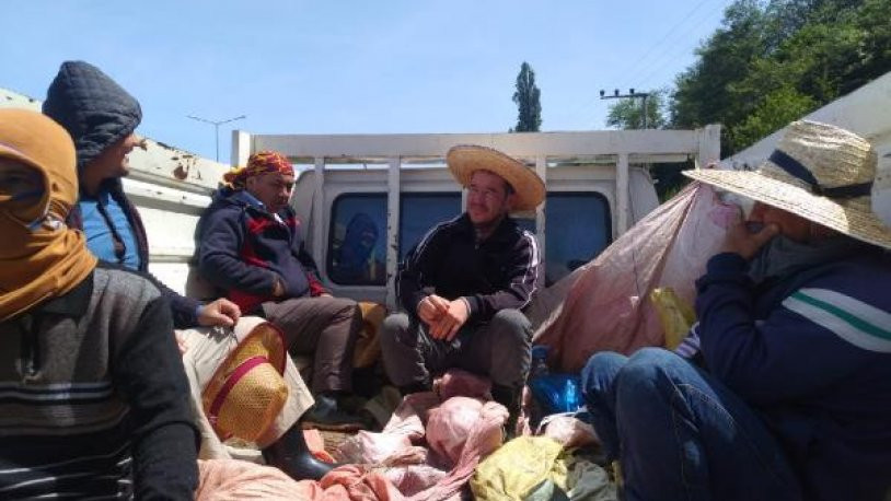 Taahhütname imzalatılan Özbek işçiler çay hasadında çalışacak