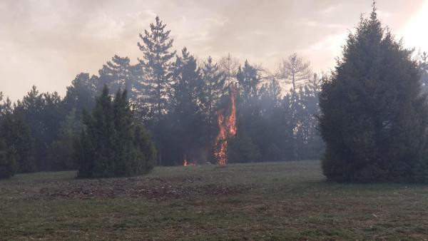 Kütahya'da orman yangını! Takviye ekipler gönderildi - Resim : 1