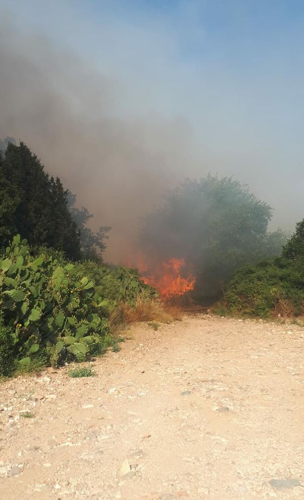 Bodrum'da makilik alanda yangın - Resim : 1