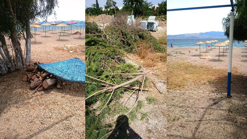 Sahili genişletmek isteyen tatilciler çevre katliamı yaptı! - Resim : 1