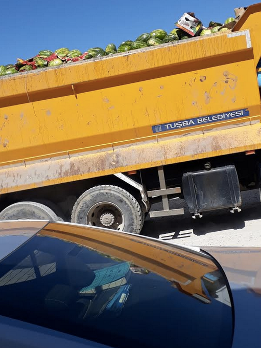 İnfial yaratan çürük karpuz skandalı! - Resim : 2