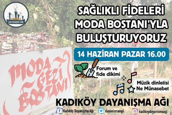 Kadıköy Gönüllüleri'nden fidan dikme çağrısı: 'Saat 16.00'da Moda Gezi Bostanı'nda' - Resim : 1