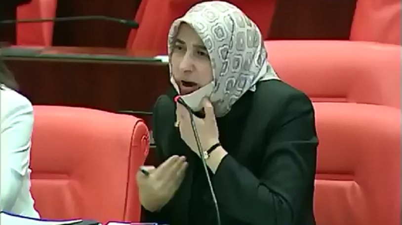 AKP'li Özlem Zengin: AK Parti gelene kadar 'kadın' kelimesinin adı yoktu Türkiye’de