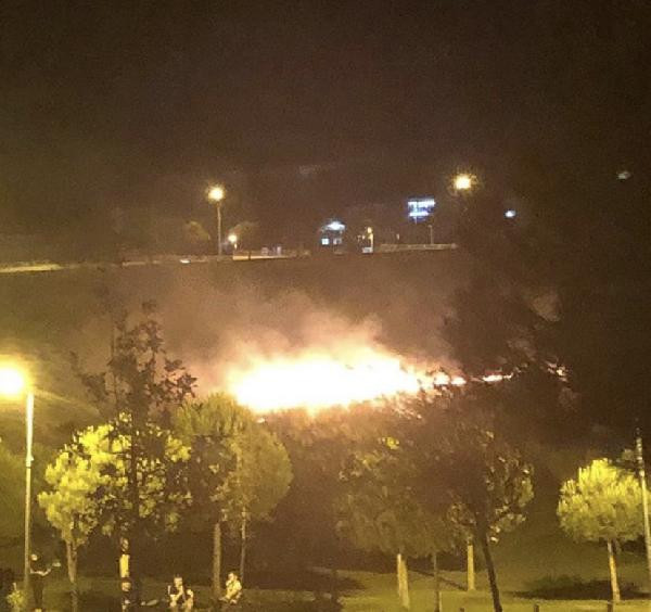 İzmir Bornova'da Aşık Veysel Rekreasyon Alanı'nda korkutan yangın - Resim : 3