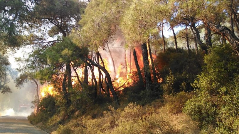 Valilik açıkladı: Heybeliada'daki yangına ilişkin soruşturma başlatıldı