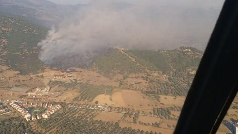 İzmir Ödemiş'te orman yangını - Resim : 1