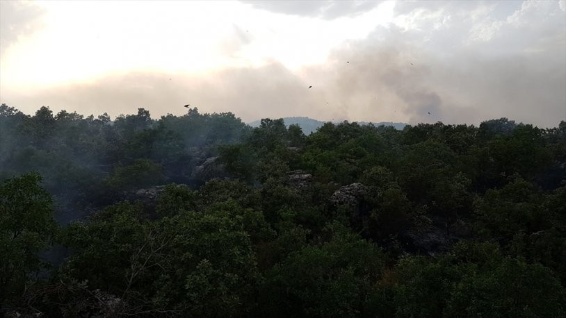 Diyarbakır’ın Lice ilçesi kırsalında orman yangını - Resim : 1