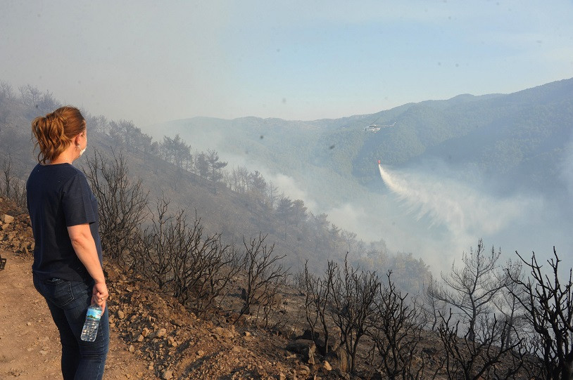 Fatma Çalkaya'dan İzmir yangını açıklaması: Yanan her ağaçla canımız yanıyor - Resim : 1