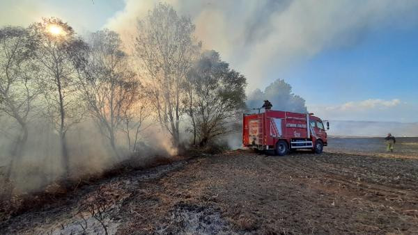 Silivri'de ağaçlık alanda yangın - Resim : 1