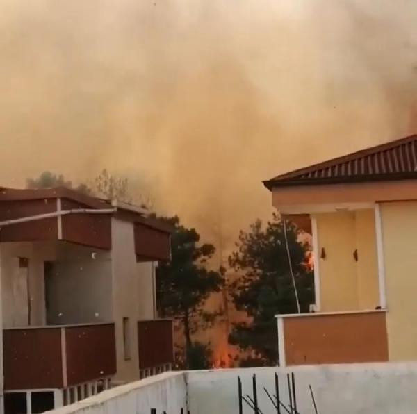 Gebze'de orman yangını - Resim : 2