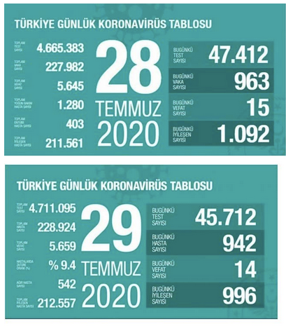 Yılmaz Özdil, Ahmet Saltık'ın değerlendirmesini paylaştı: Salgın değil, Türkiye A.Ş. öldürüyor! - Resim : 1