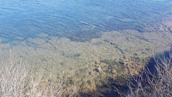 Didim'de su altında 5 bin yıllık liman bulundu - Resim : 2