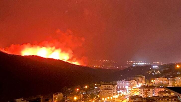 Türkiye yanıyor: Birçok ilde orman yangını - Resim : 2
