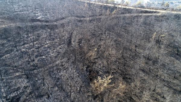 Hatay'da yanan orman havadan böyle görüntülendi - Resim : 1