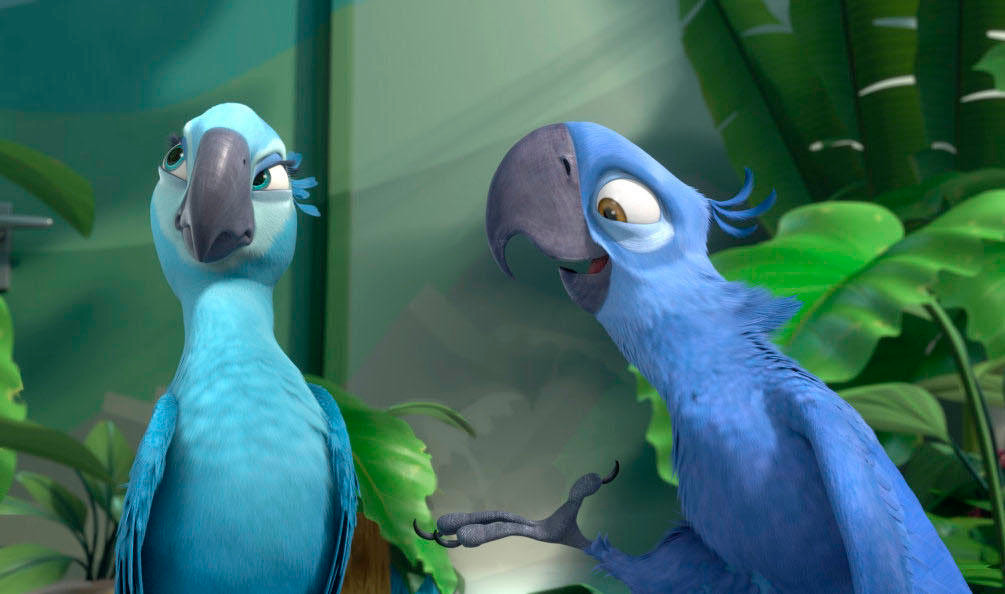 Rio filmi ile ünlenen Mavi Spix Papağanı'nın soyu tükendi - Resim : 1