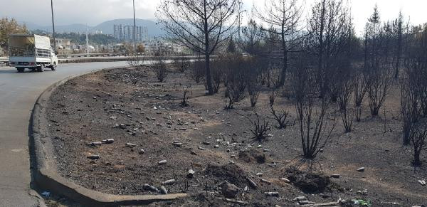 Hatay'daki yangın bölgesi yakınında 'Ne varsa yansın' yazısı - Resim : 1