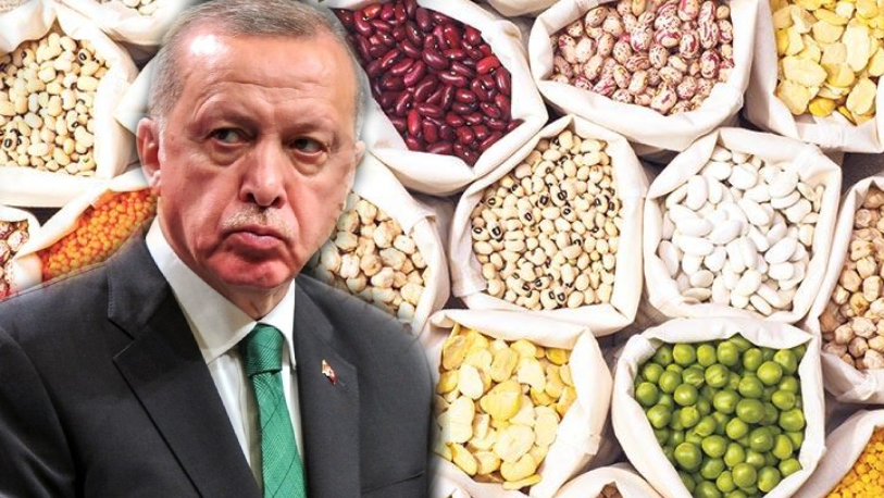 Erdoğan imzaladı: Suriye'ye tonlarca un ve bakliyat hibesi