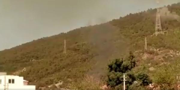 Hatay İskenderun'daki orman yangınında korkunç şüphe: 'Ormanın içeresindeler yakıyorlar' - Resim : 1