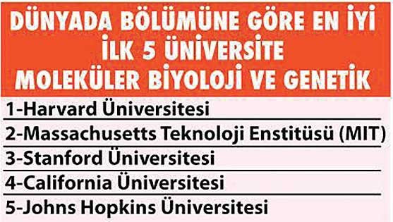 İlk 500'de Türkiye'den 3 üniversite - Resim : 2
