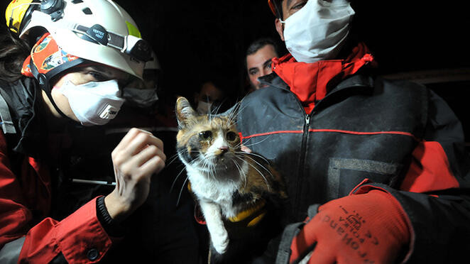 İzmir'de arama kurtarma köpeği enkazda kediyi kurtardı - Resim : 2