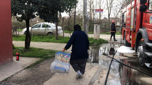 Dumanların sardığı binaya girip, muhabbet kuşunu kurtardı - Resim : 1