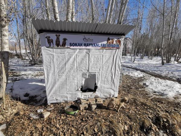 Makam aracı ile 2 belediye aracını satıp, sokak hayvanlarına kulübe yaptırdı - Resim : 1