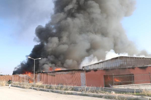 Harran Üniversitesi'nde korkutan yangın - Resim : 2