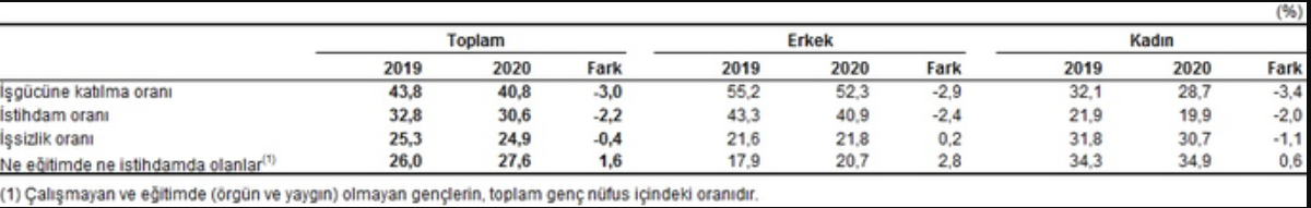 TÜİK verilerine göre işsizlik rakamları açıklandı! Genç işsizlik oranında kabus gibi rakamlar - Resim : 4