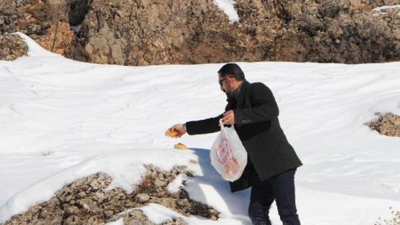 Karda aç kalan yaban hayvanları için askıda ekmek - Resim : 1