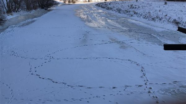 Kars'ta görüntüler eksi 25 derecede buzulları aratmadı - Resim : 2