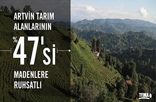 Artvin’de maden talanı: Doğa ve tarım yok ediliyor - Resim : 1